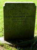 image of grave number 568481